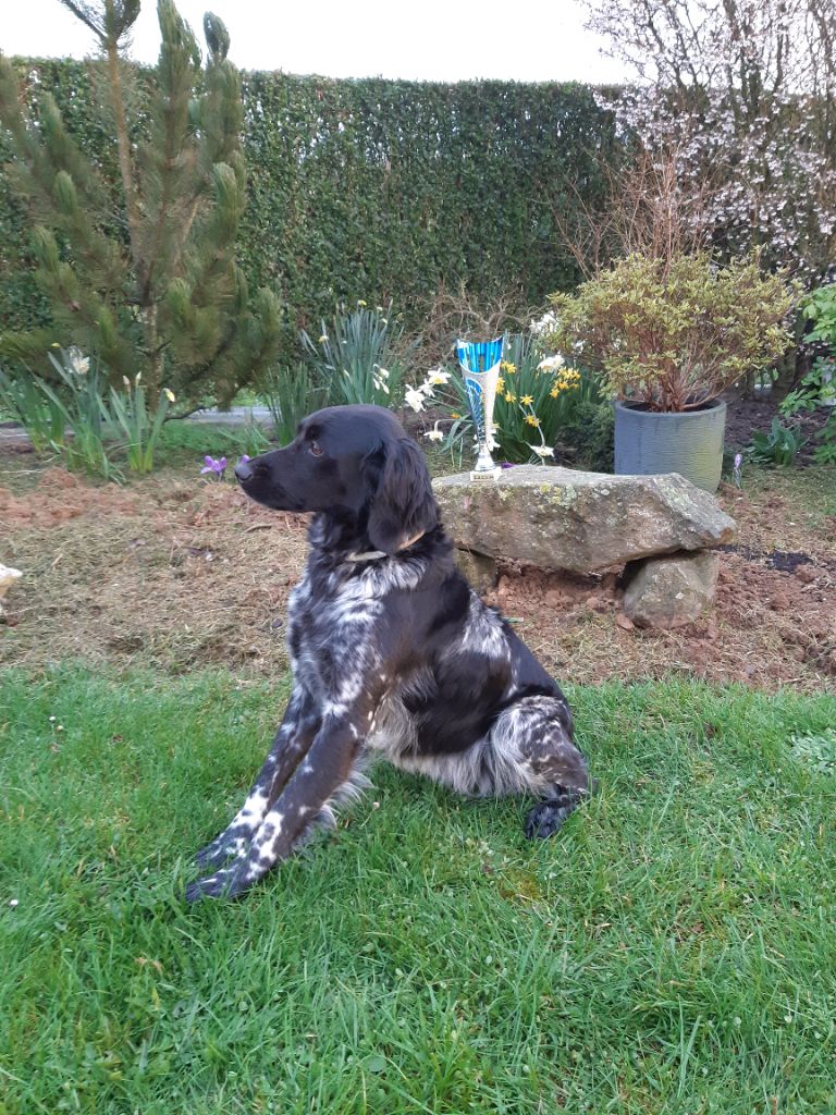 MADDY
